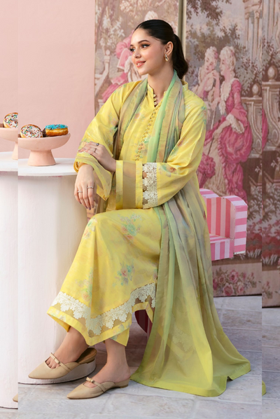 3 Piece Stitched Digital Printed Basics Rawsilk – AFSANAH AR-102 02