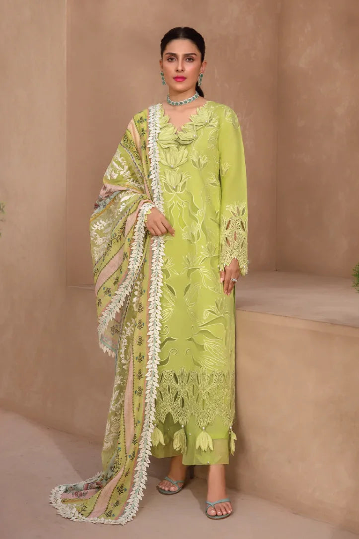 Rang Rasiya 3 Piece Stitched Suit – LIME