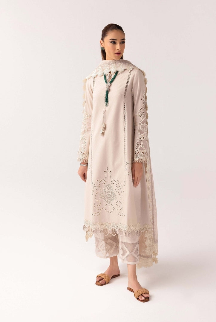 3 Piece Stitched Luxury Suits From Qalamkar Basic Pret'25 Collection - NAIRE