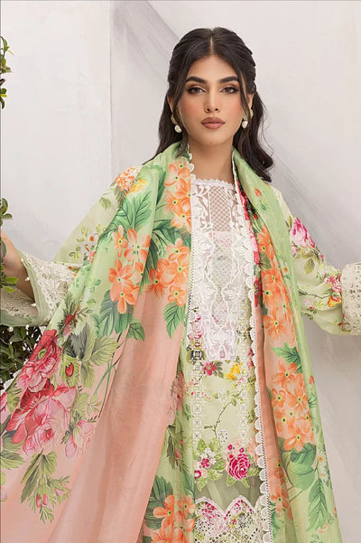Aleyna By Asifa & Nabeel 3 Piece Stitched Suit - 05