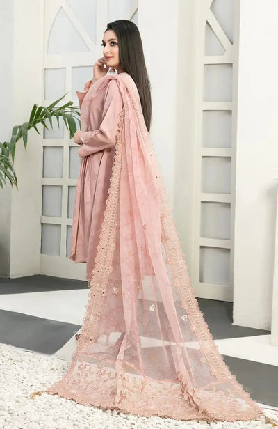 3 Piece Stitched Karandi Banarsi Suit Safiya By Tawakkal - 02