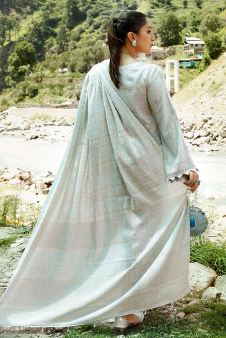 Tehzeeb By Riaz Arts Embroidered Leather Peach Suits Collection - 04