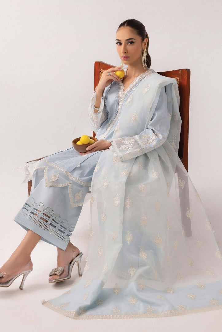3 Piece Stitched Luxury Suits From Qalamkar Basic Pret'25 Collection - WARDAH