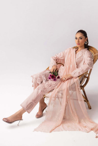3 Piece Stitched Luxury Suits From Qalamkar Basic Pret'25 Collection - SHAREEN