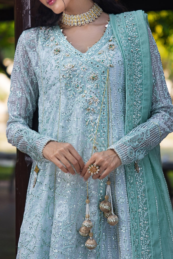 Roohi By Mushq 4 Piece Stitched Embroidered Organza Suit - DIYA