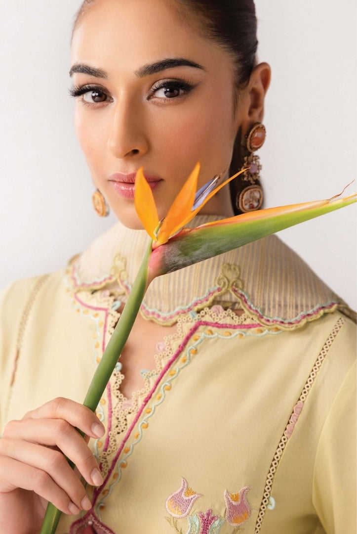 3 Piece Stitched Luxury Suits From Qalamkar Basic Pret'25 Collection - AFRA