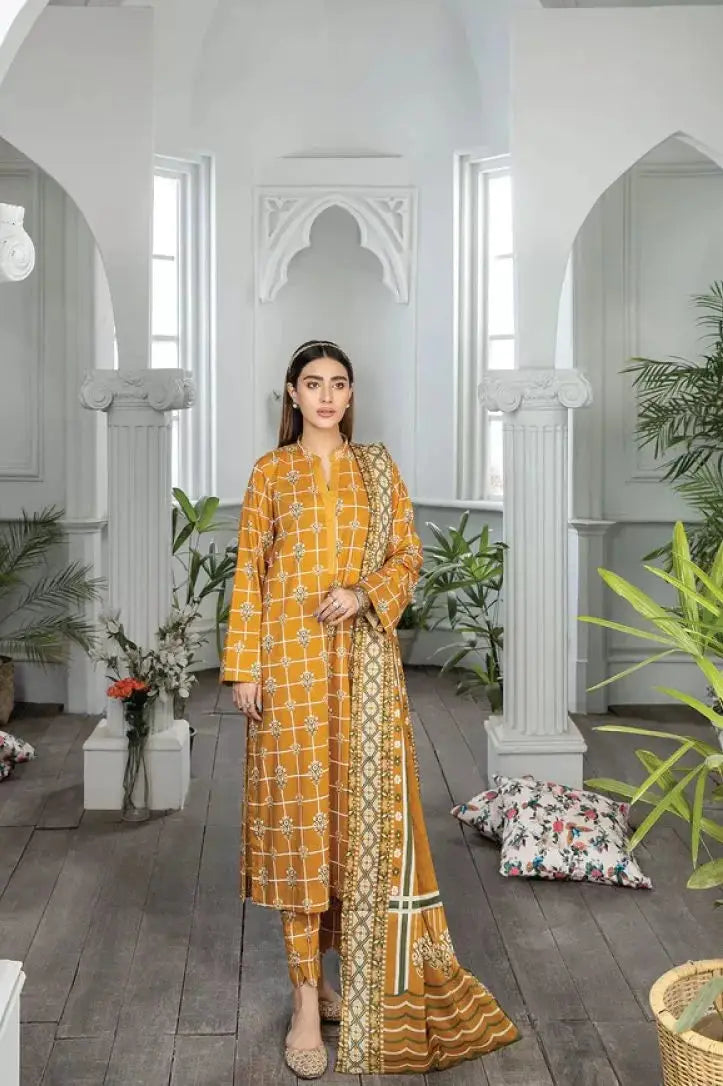 Johra Raiza 3 Piece Stitched Suit - 02