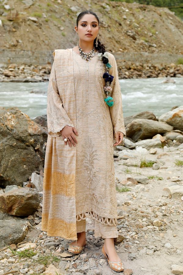 Tehzeeb By Riaz Arts Embroidered Leather Peach Suits Collection - 08