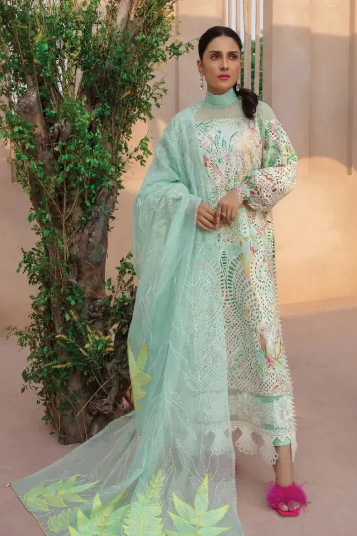 Rang Rasiya 3 Piece Stitched Suit – MOONSTONE