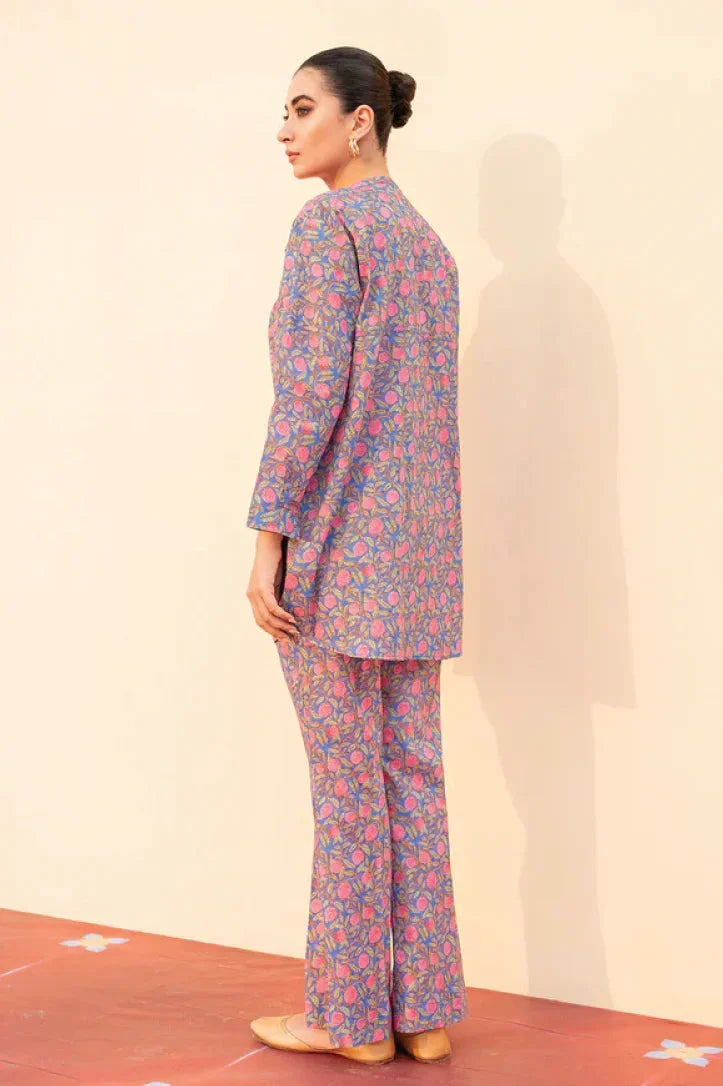 Sahar Print Edit 2 Piece Stitched Suit - 05